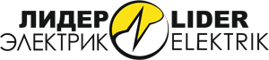 ООО ЗНА "Лидер Электрик" Logo
