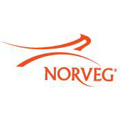 Интернет-магазин Norveg Logo