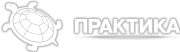 Приватне акціонерне товариство «НВО «ПРАКТИКА» Logo