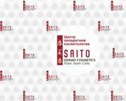 Saito Logo